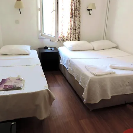 فندق بيركان 2*